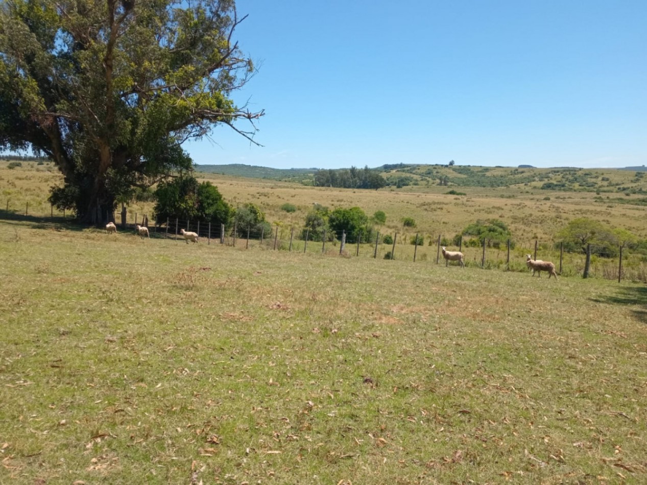 Propriete rurale 740 hectares Sierra de Carape