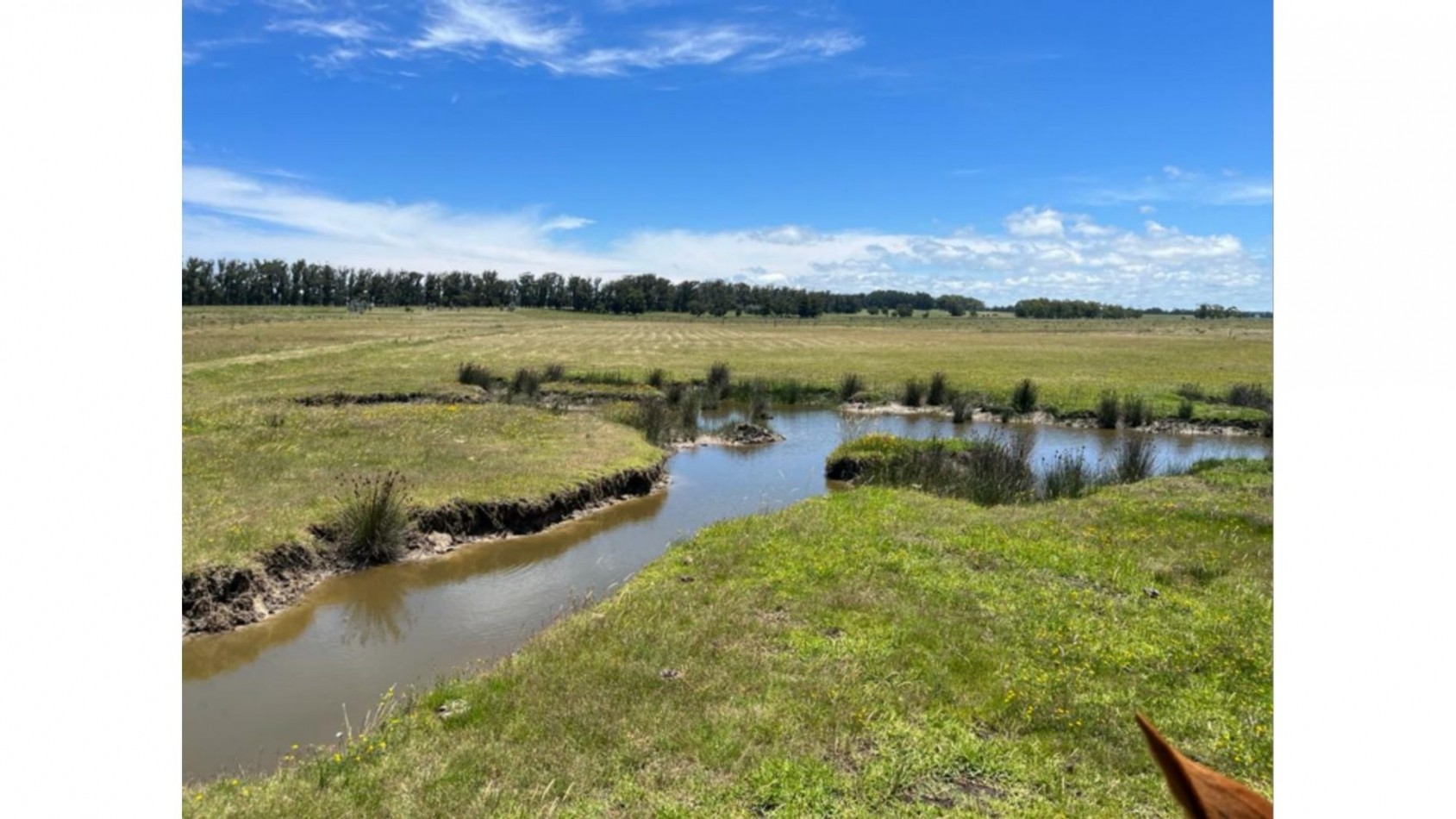 Terrain de 5 hectares situe sur la lagune Jose Ignacio, adjacent au terrain de polo 