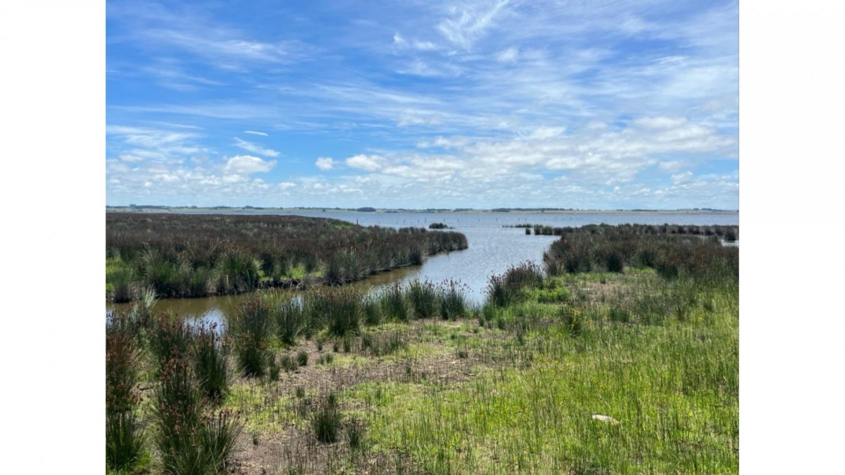 Terrain de 5 hectares situe sur la lagune Jose Ignacio, adjacent au terrain de polo 