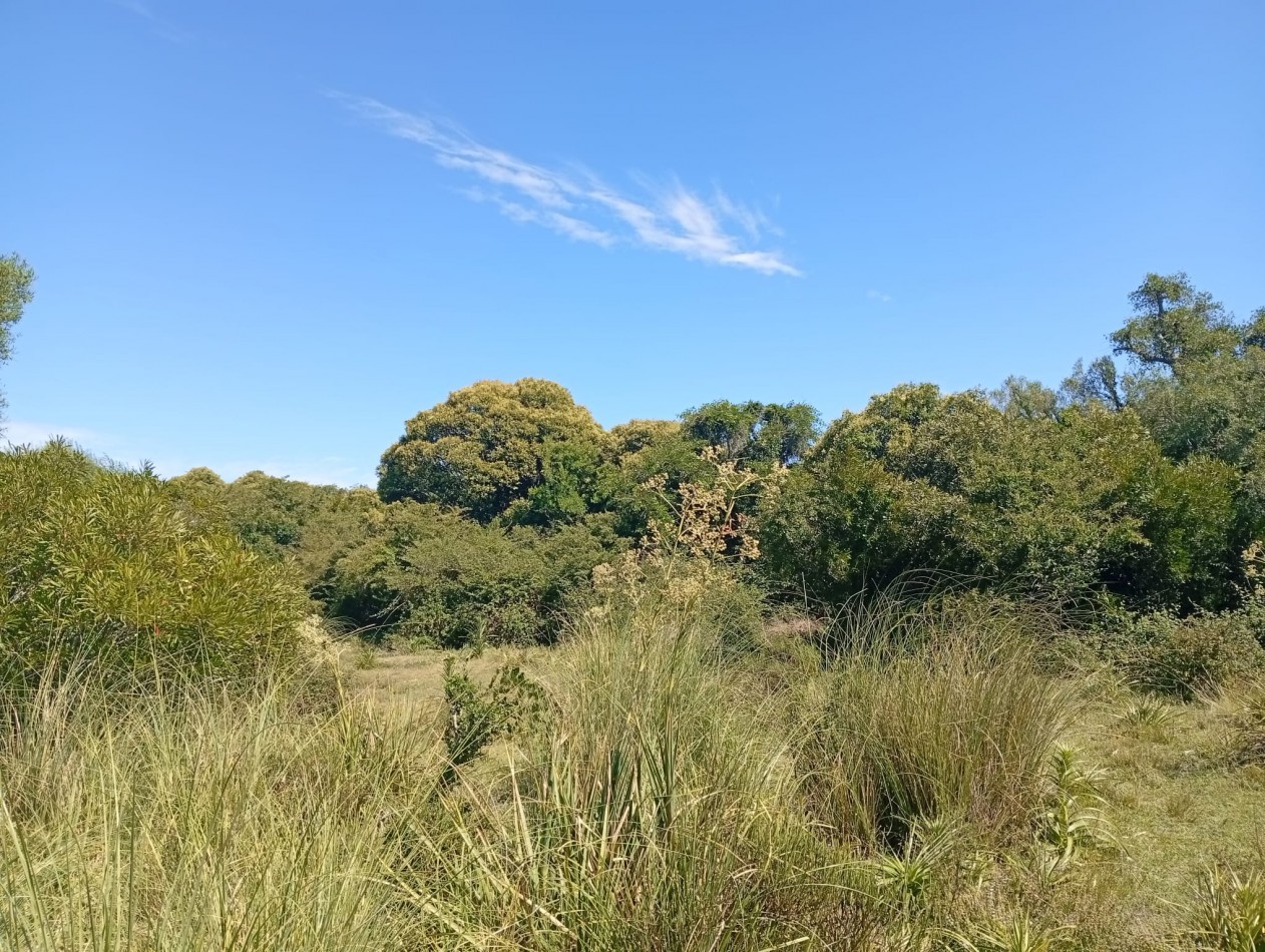 18 hectares a 15 minutes de la plage de Manantiales