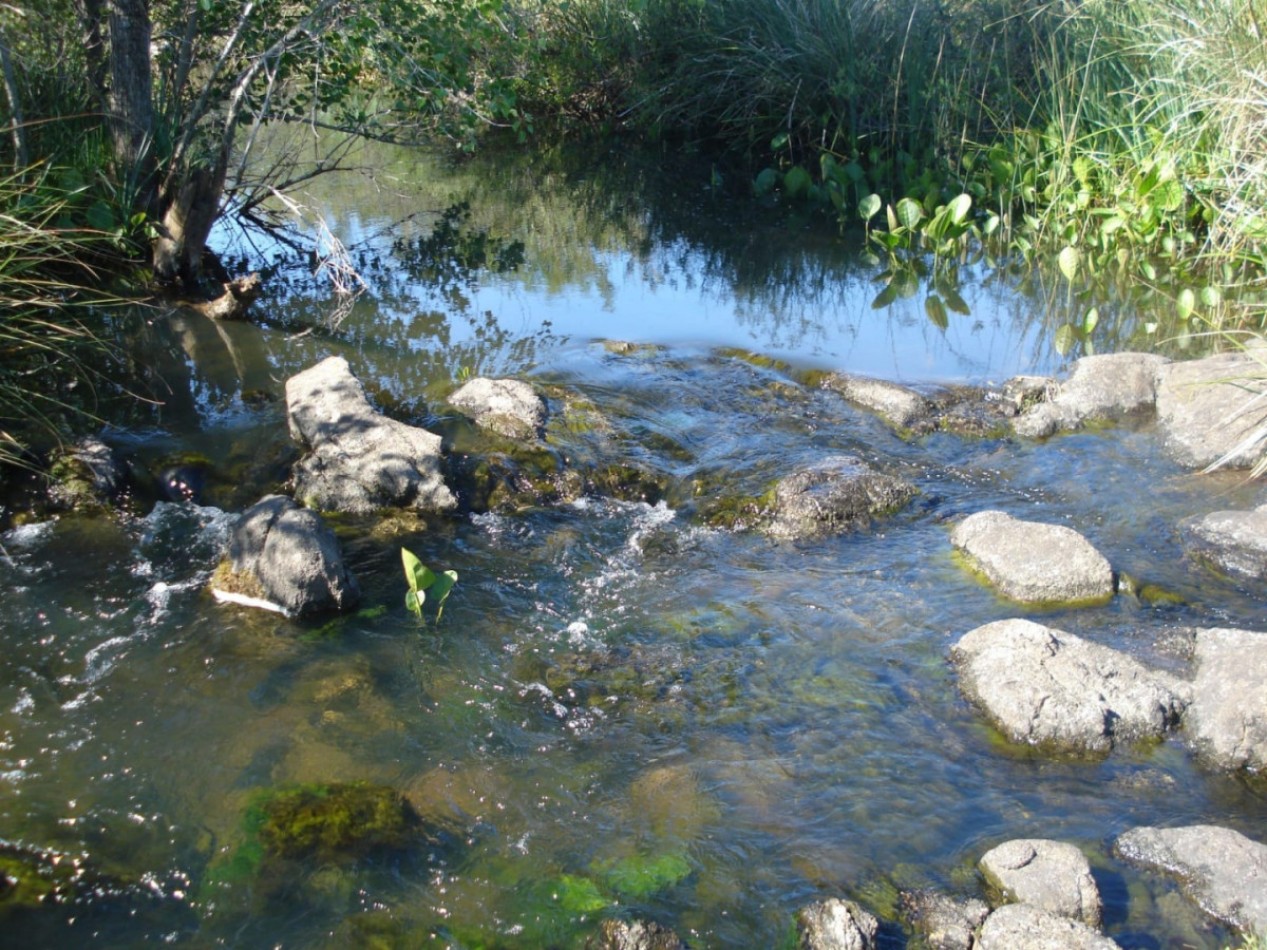 98 hectares de terres naturelles dans la Sierra de Carape. Fort potentiel touristique.