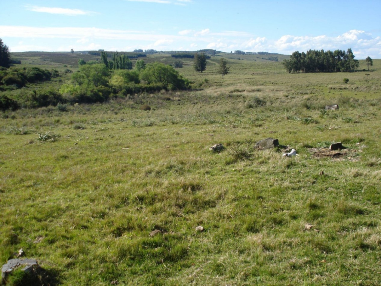98 hectares de terres naturelles dans la Sierra de Carape. Fort potentiel touristique.