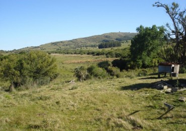 98 hectares de terres naturelles dans la Sierra de Carape. Fort potentiel touristique.